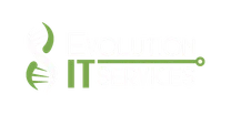 Evolution IT Services